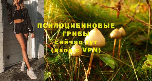 прущая мука Богородск