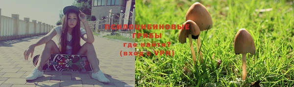 а пвп мука Бронницы