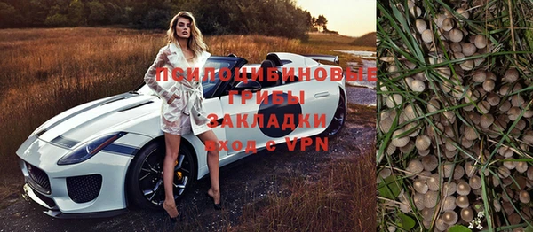 прущая мука Богородск