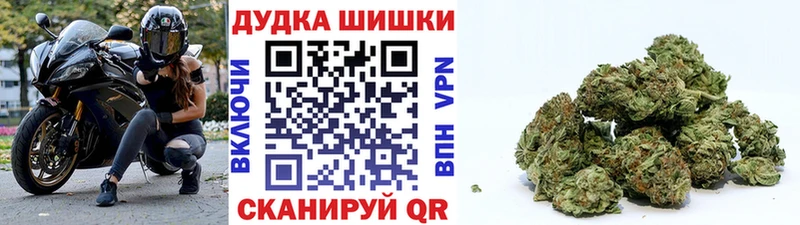 где продают наркотики  гидра зеркало  МАРИХУАНА SATIVA & INDICA  Семикаракорск 